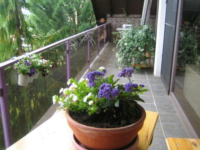 Ferienwohnung Virginija Ditscheid 객실 사진