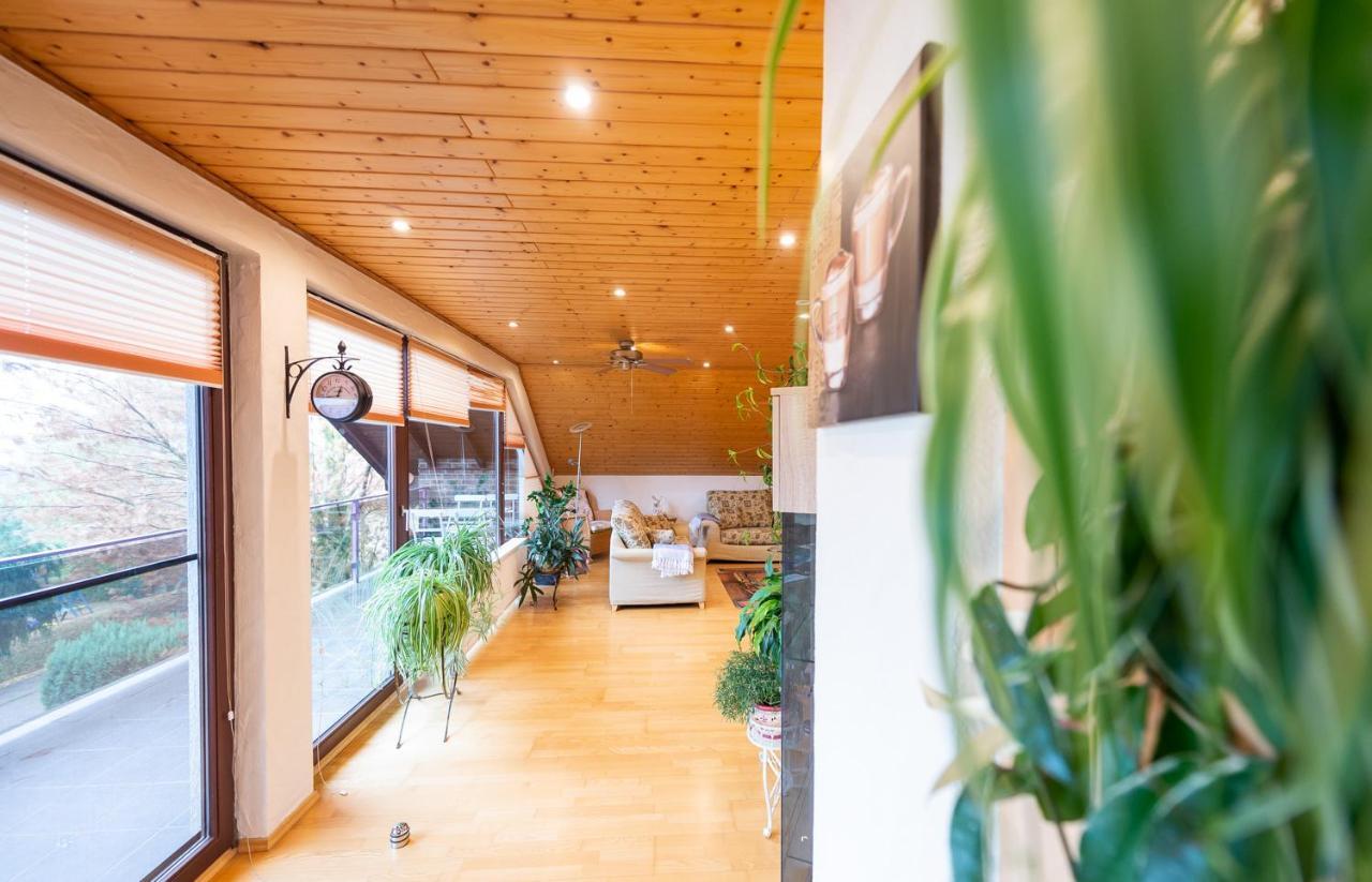 Ferienwohnung Virginija Ditscheid 외부 사진